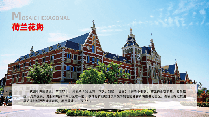 杭州-荷蘭花海 杭州-荷蘭花海